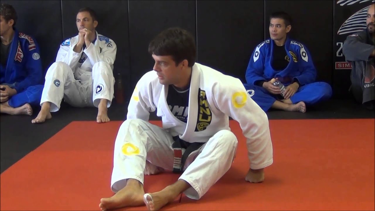 Robson Moura on BJJ Butterfly Guard